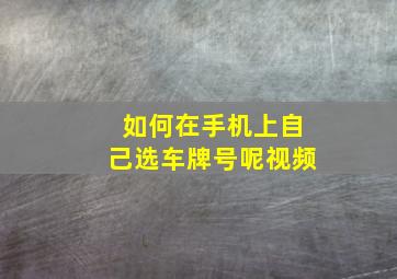 如何在手机上自己选车牌号呢视频