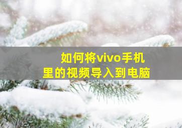 如何将vivo手机里的视频导入到电脑