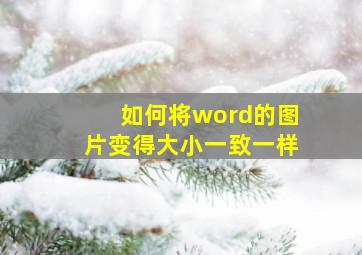 如何将word的图片变得大小一致一样