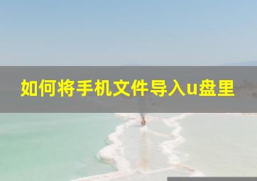 如何将手机文件导入u盘里