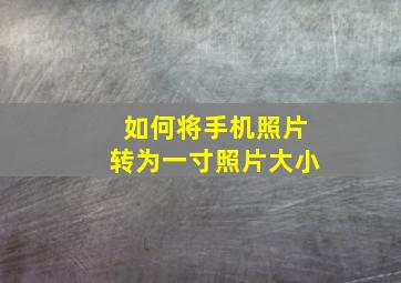 如何将手机照片转为一寸照片大小