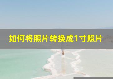 如何将照片转换成1寸照片