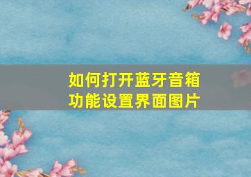 如何打开蓝牙音箱功能设置界面图片