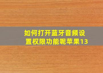 如何打开蓝牙音频设置权限功能呢苹果13