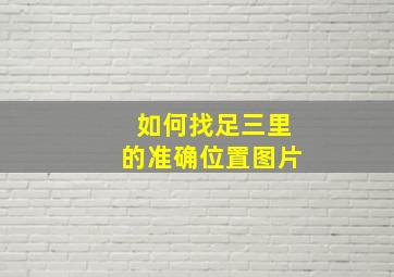 如何找足三里的准确位置图片