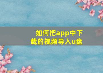 如何把app中下载的视频导入u盘