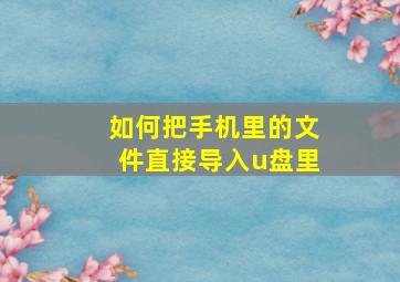 如何把手机里的文件直接导入u盘里