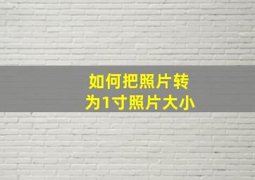 如何把照片转为1寸照片大小