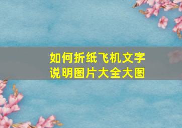 如何折纸飞机文字说明图片大全大图