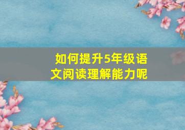 如何提升5年级语文阅读理解能力呢