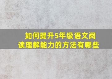 如何提升5年级语文阅读理解能力的方法有哪些