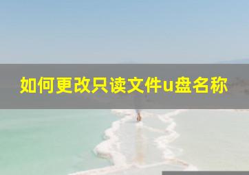 如何更改只读文件u盘名称