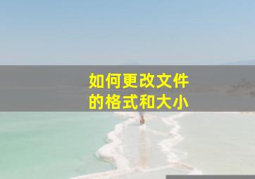 如何更改文件的格式和大小