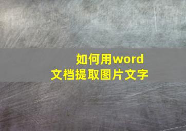 如何用word文档提取图片文字