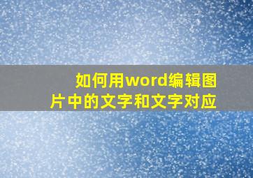 如何用word编辑图片中的文字和文字对应