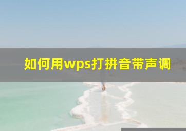 如何用wps打拼音带声调