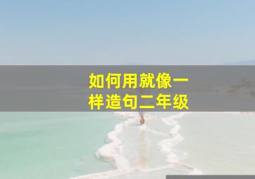 如何用就像一样造句二年级