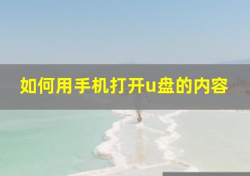 如何用手机打开u盘的内容