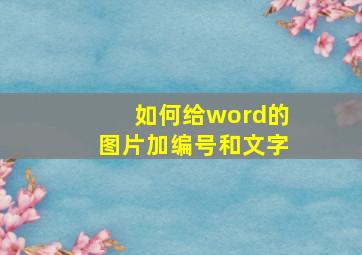 如何给word的图片加编号和文字