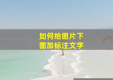 如何给图片下面加标注文字