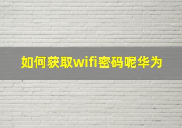 如何获取wifi密码呢华为