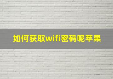 如何获取wifi密码呢苹果