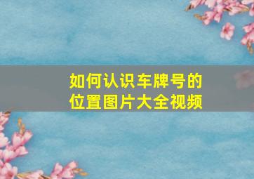 如何认识车牌号的位置图片大全视频