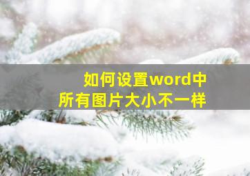 如何设置word中所有图片大小不一样