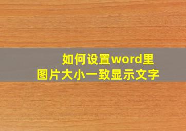 如何设置word里图片大小一致显示文字