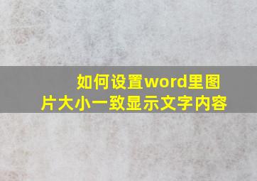 如何设置word里图片大小一致显示文字内容