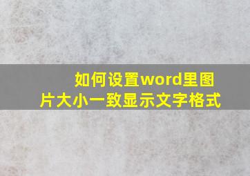 如何设置word里图片大小一致显示文字格式