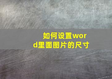 如何设置word里面图片的尺寸