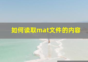 如何读取mat文件的内容