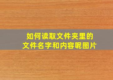 如何读取文件夹里的文件名字和内容呢图片