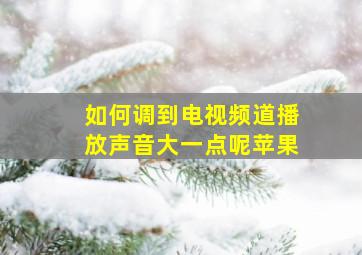 如何调到电视频道播放声音大一点呢苹果