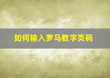 如何输入罗马数字页码