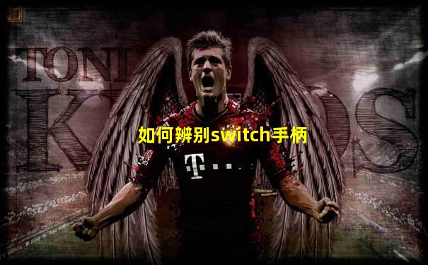 如何辨别switch手柄