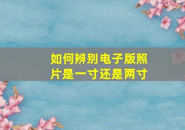 如何辨别电子版照片是一寸还是两寸