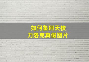 如何鉴别天梭力洛克真假图片