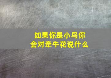 如果你是小鸟你会对牵牛花说什么