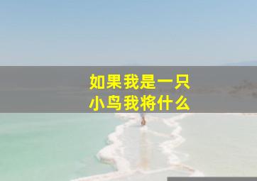 如果我是一只小鸟我将什么