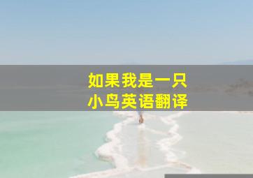 如果我是一只小鸟英语翻译