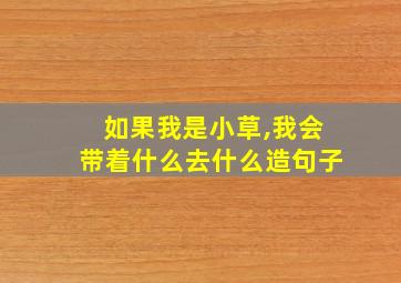 如果我是小草,我会带着什么去什么造句子