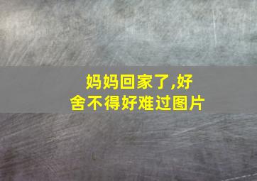 妈妈回家了,好舍不得好难过图片