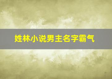 姓林小说男主名字霸气