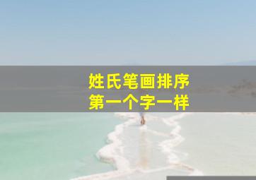 姓氏笔画排序第一个字一样