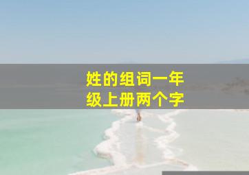 姓的组词一年级上册两个字