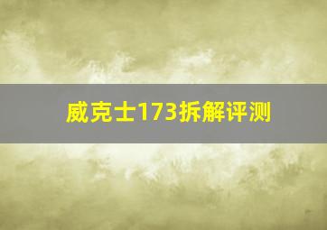 威克士173拆解评测