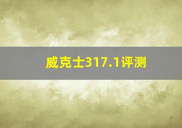 威克士317.1评测