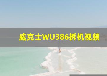 威克士WU386拆机视频